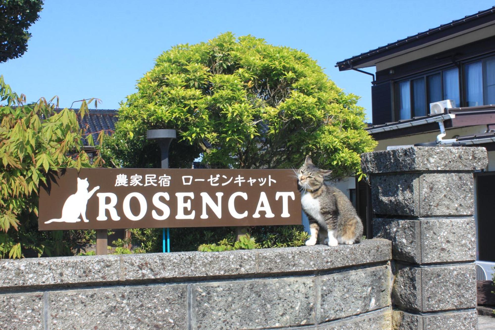Villa Rosencat Sado Esterno foto